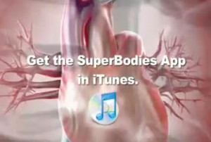 Superbodies
