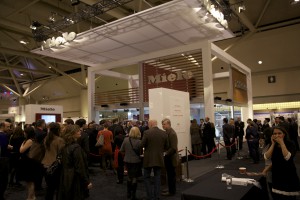 IMG_2590 IMG_2590