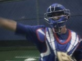 bluejays