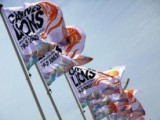 Cannes-300x207